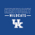University of Kentucky Wildcats Moto E5 Play Skin